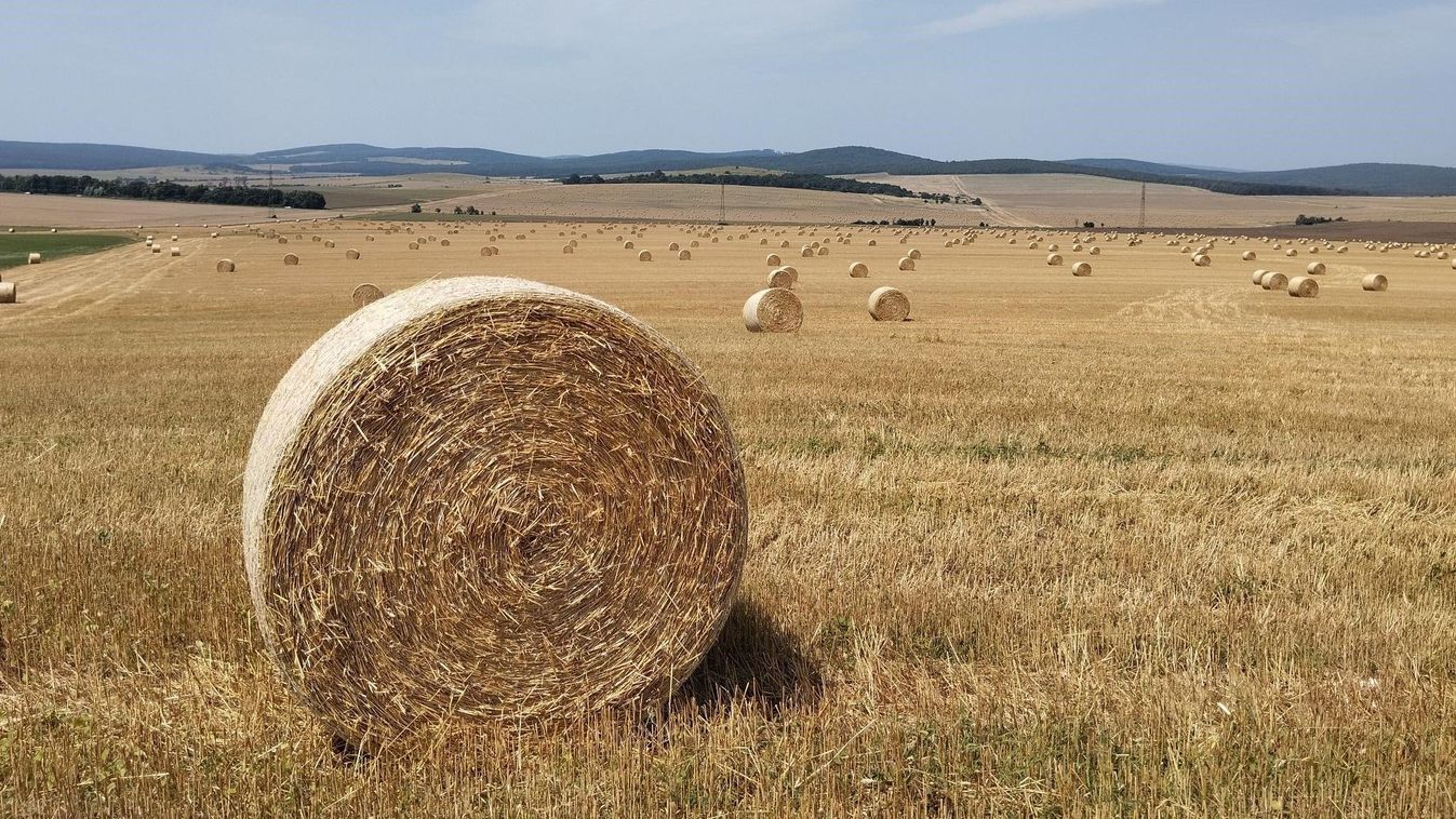 VEOL Most már áll a bála