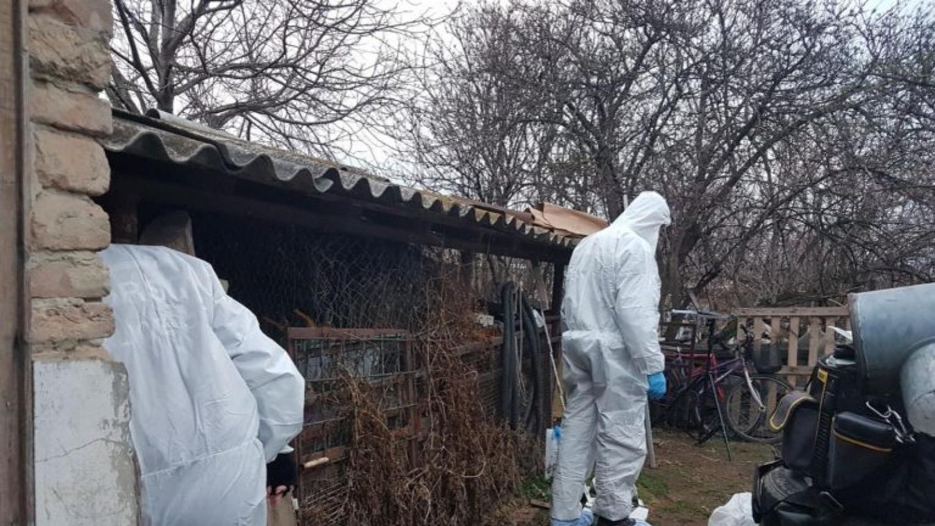 Életképes volt a kislány, akit szombaton öltek meg Zichyújfaluban