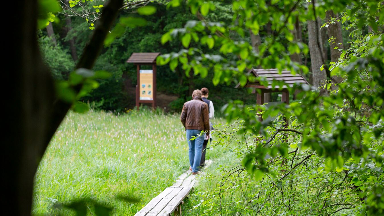 Kampány indult a nemzeti parkok népszerűsítésére