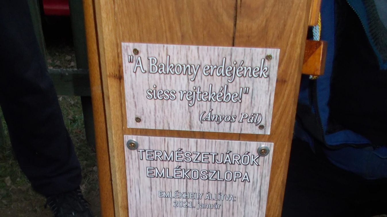 Döbröntén állítottak emlékoszlopot a bakancsosok