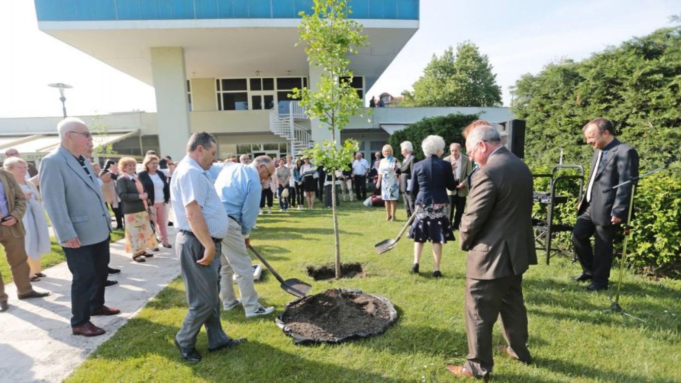 Ötvenéves a balatonfüredi Annabella