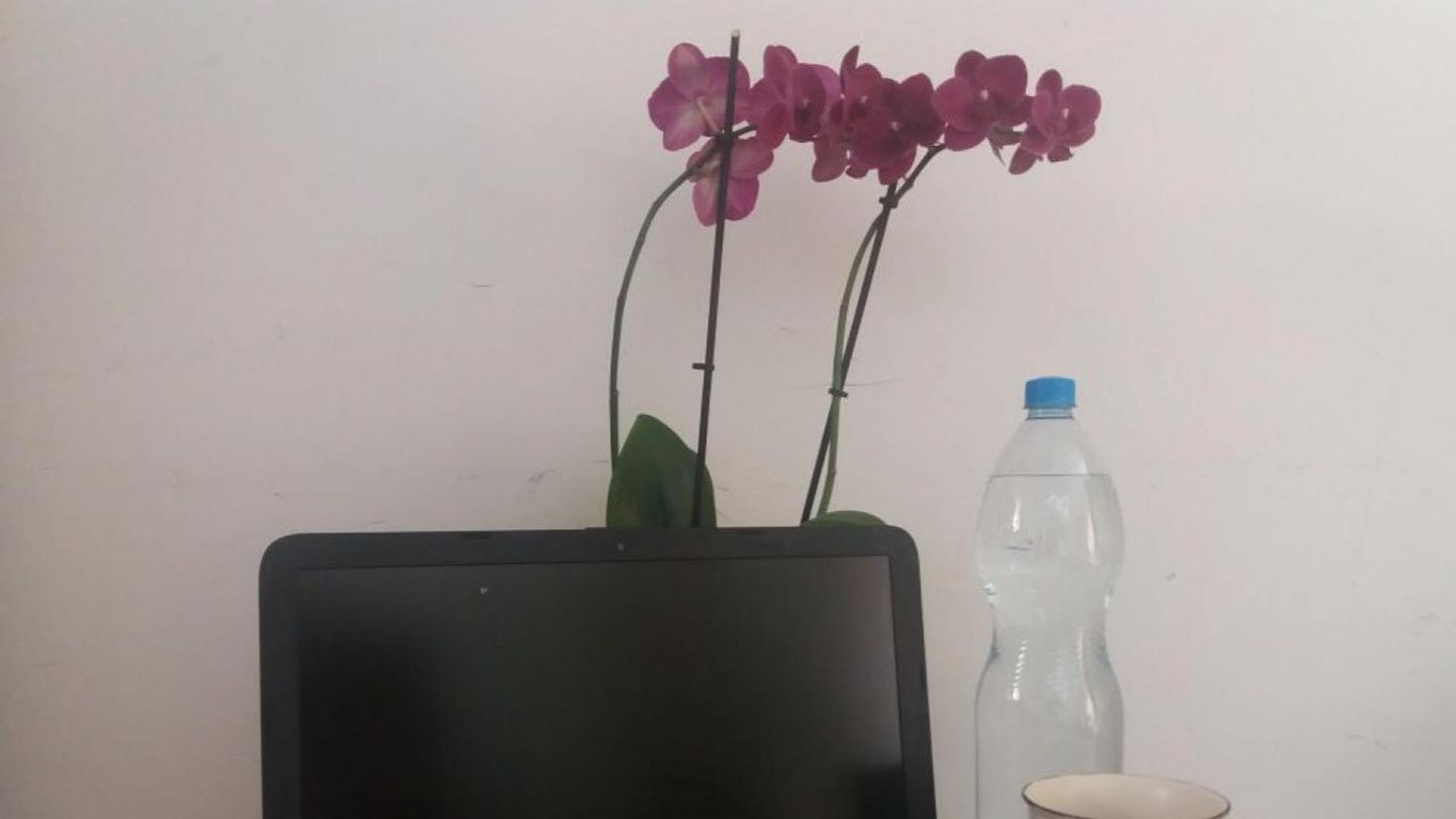 Rajtunk áll, hogy elegendő vízzel látjuk-e el szervezetünket