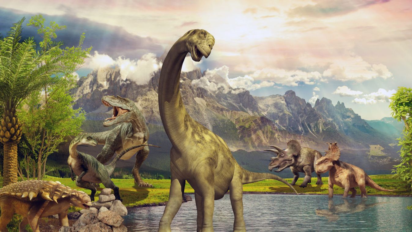 Száz éve elfeledett dinoszaurusz-lelőhelyeket fedeztek újra fel Erdélyben
