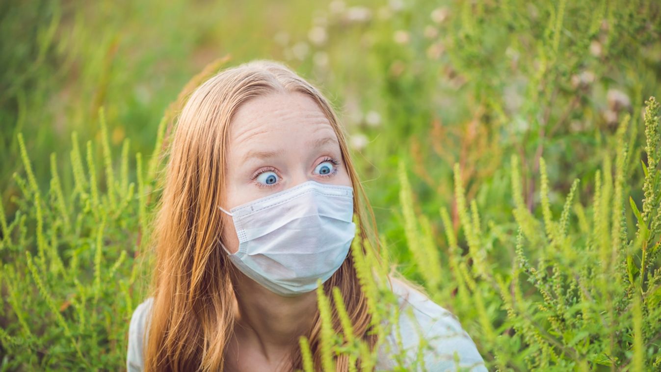 Rossz hír az allergiásoknak – itt a parlagfűszezon