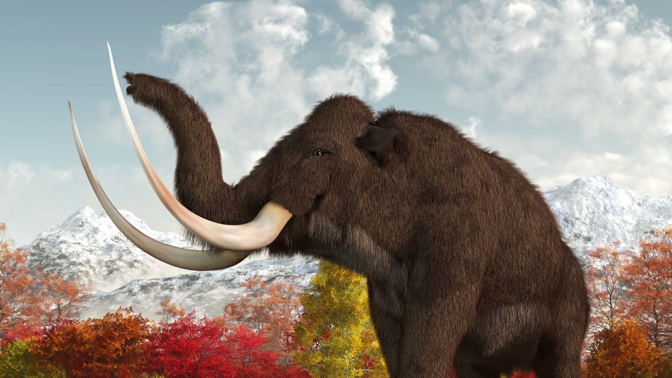 Egy élet alatt összesen kétszer sétálhatta volna körbe a mamut a Földet