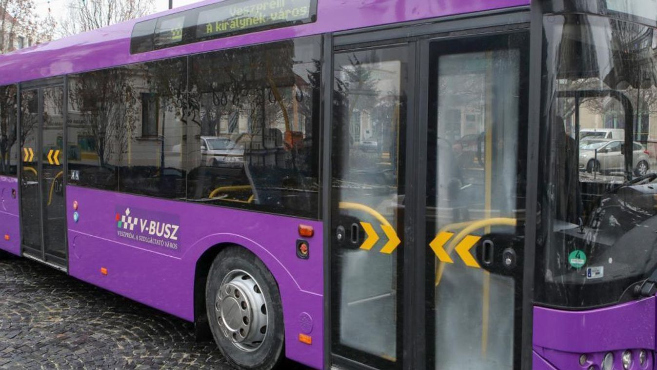 Ez érdekelte a Veszprém megyeieket a legjobban január első két hetében