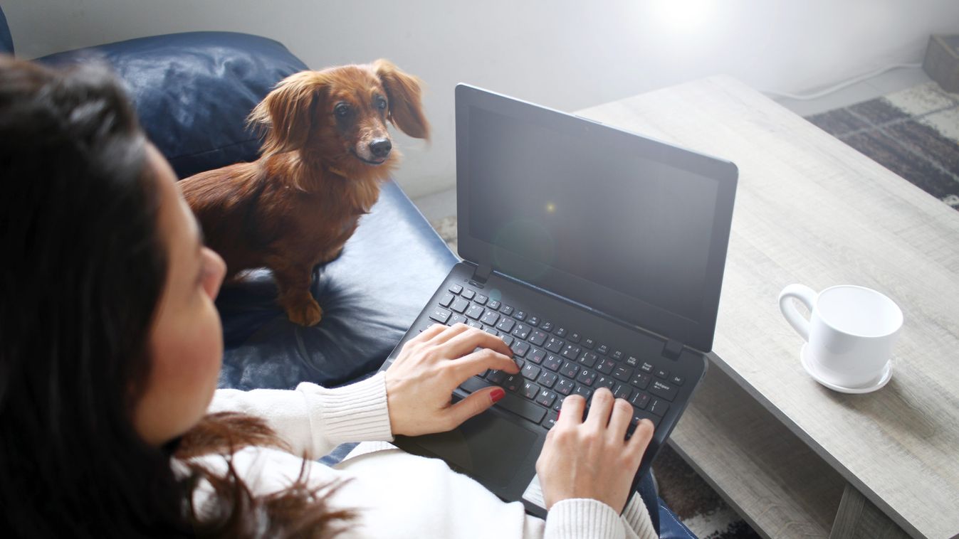 A dolgozók 84%-a a hibrid (home office/iroda) munka mellett voksol
