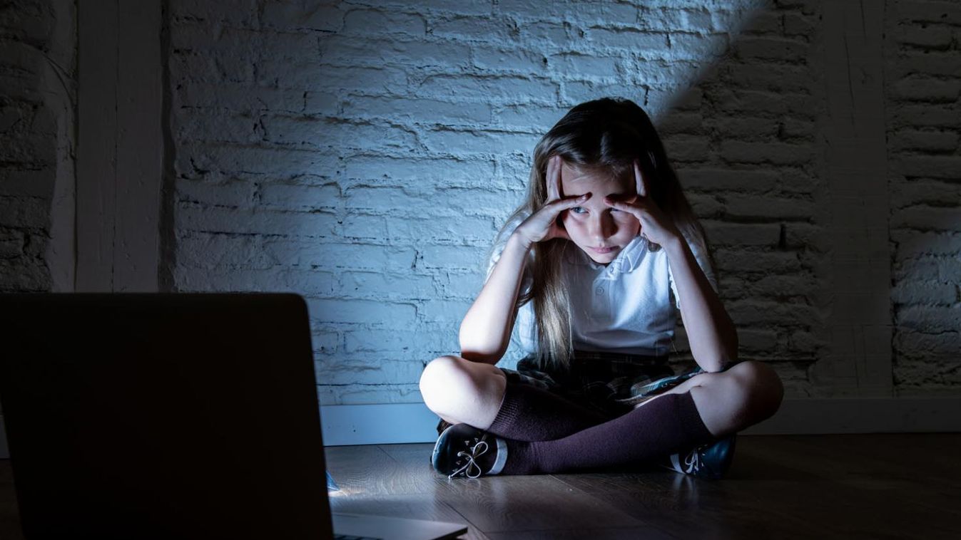 Fel kell készíteni a gyerekeket a biztonságos internetezésre