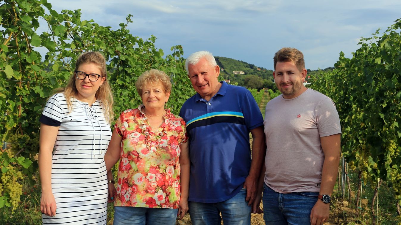 A család minden tagja az aszófői borászatban dolgozik
