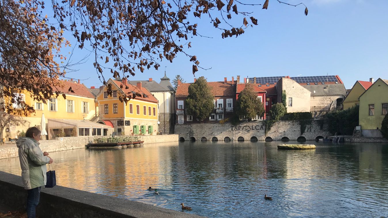 Káros és felesleges a vízimadarak etetése