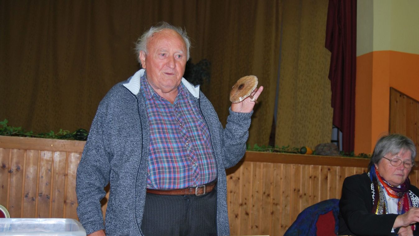 A természet gyógynövényeit érdemes begyűjteni