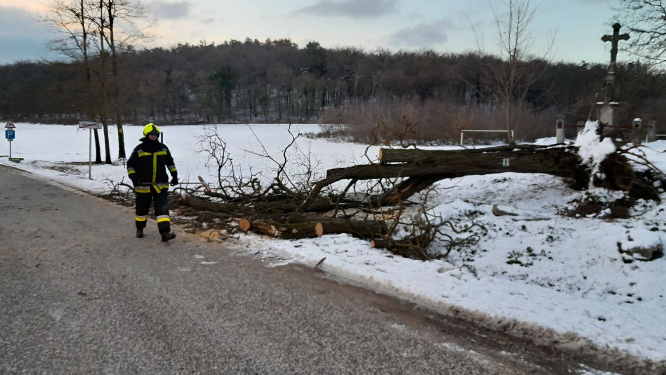 Újabb vírus és tomboló szélvihar – a hét legolvasottabb hírei