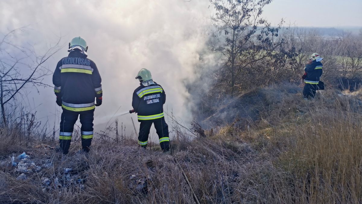 Hatalmas területen ég a tarló és az erdő Bakonyszücs közelében
