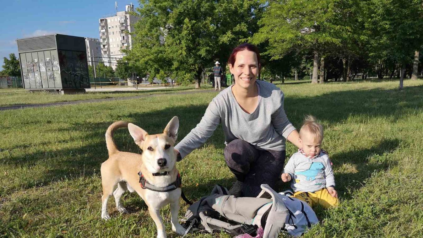 Élet szeretetben: mindennapok kisgyermekkel, házi kedvencekkel