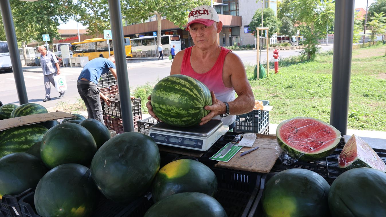 Indokolatlan a dinnye leárazása a termelők és az agrárkamara szerint