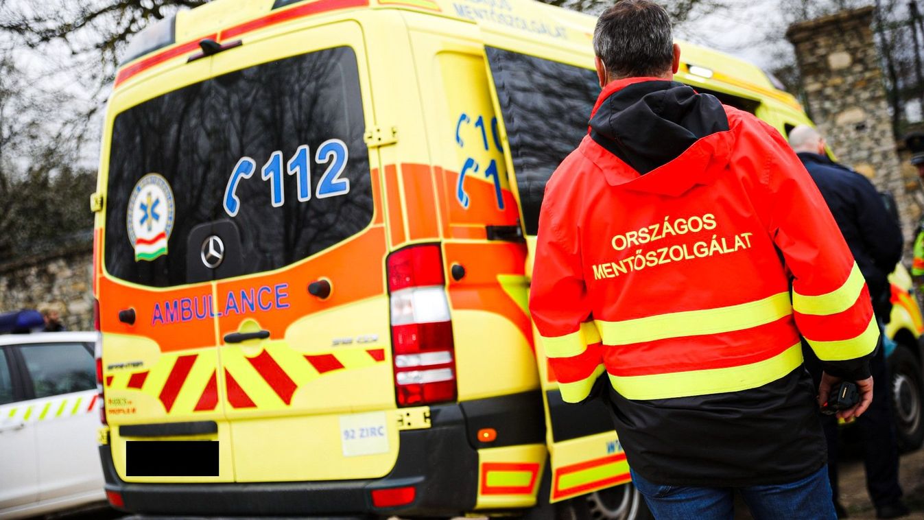 Drámai életmentés zajlott a veszprémi állatkertben
