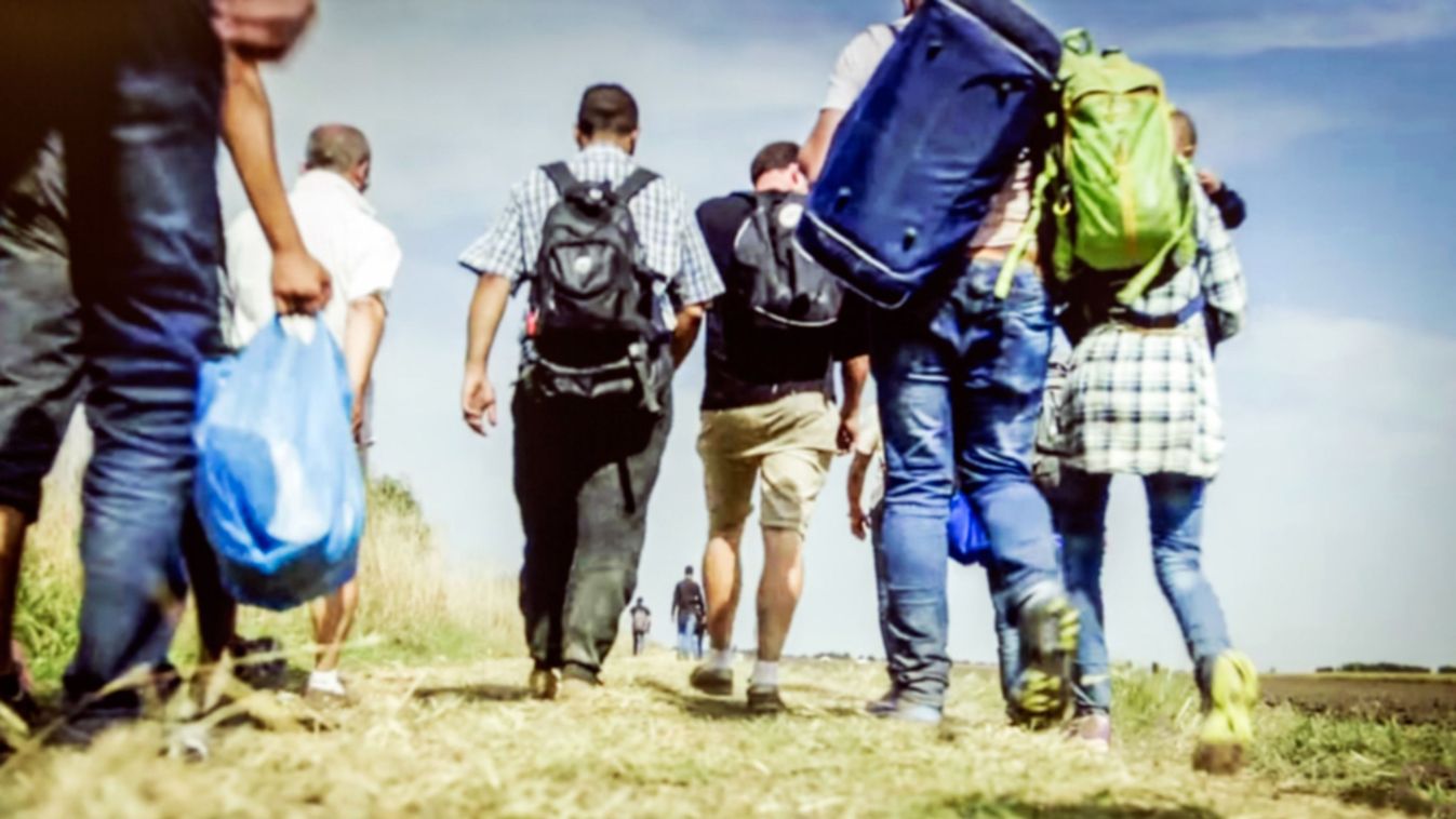 Egyre több határsértőt tartóztatnak fel Szlovéniában