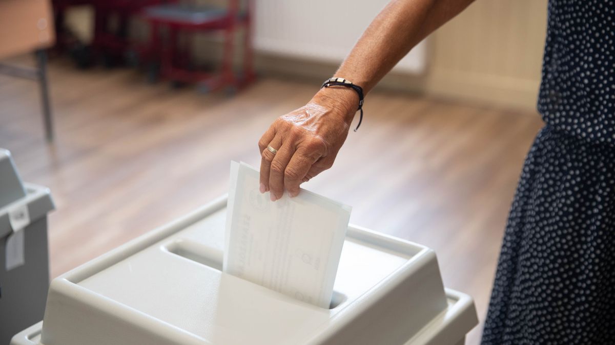 Választás 2024: élőben a Veol.hu-n