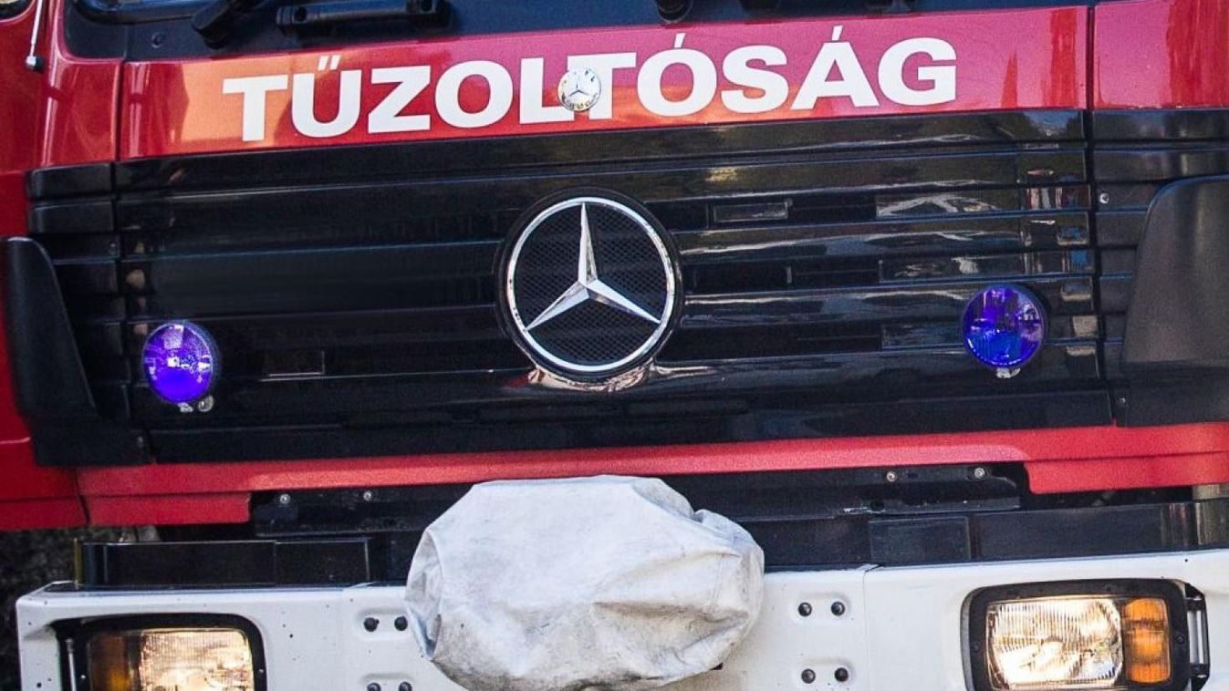Kutyamentés és veszélyes fa okozott munkát a katasztrófavédelemnek vasárnap