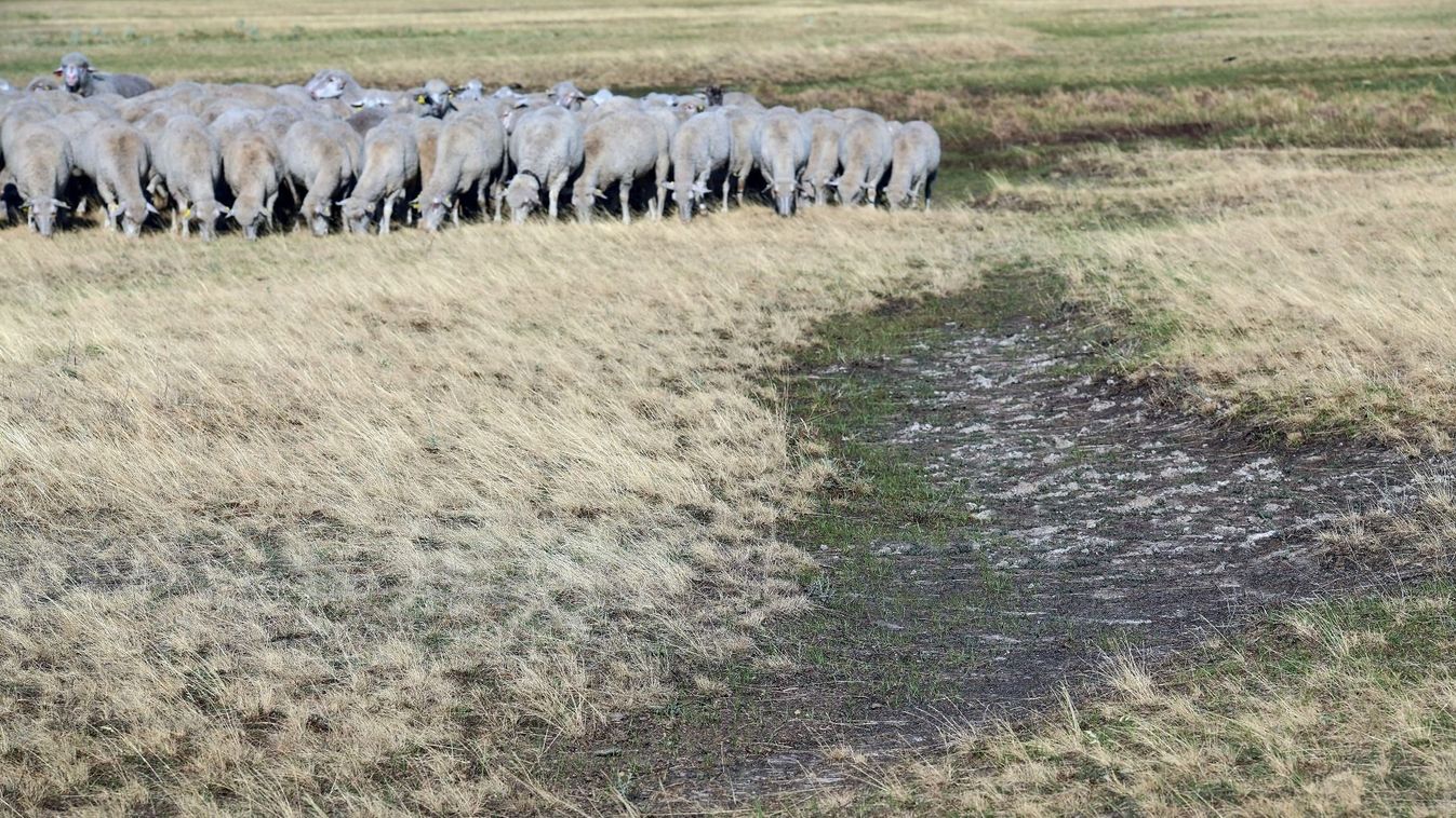 Négyszeresére növelte a kormány az agrárkár-enyhítési alap forrásait