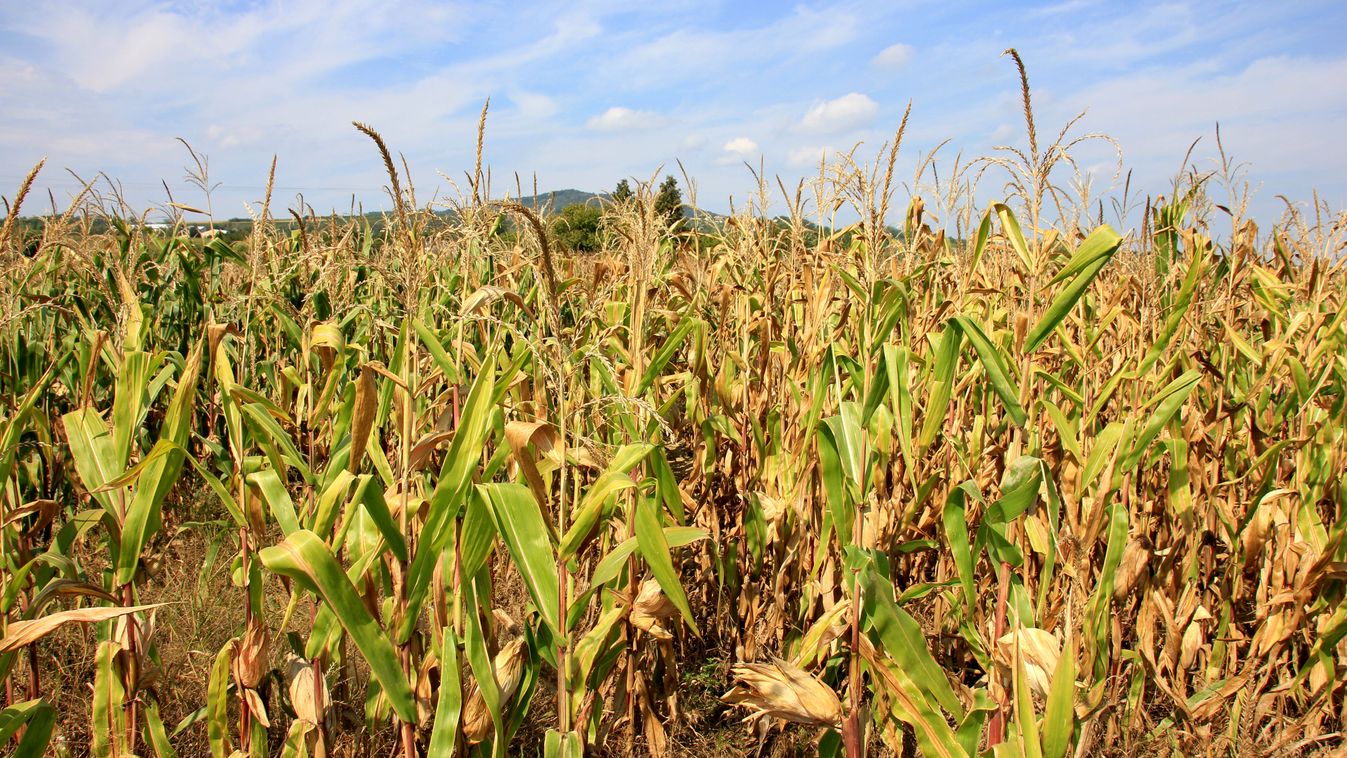 Idén is ad tagdíjkedvezményt a Nemzeti Agrárgazdasági Kamara