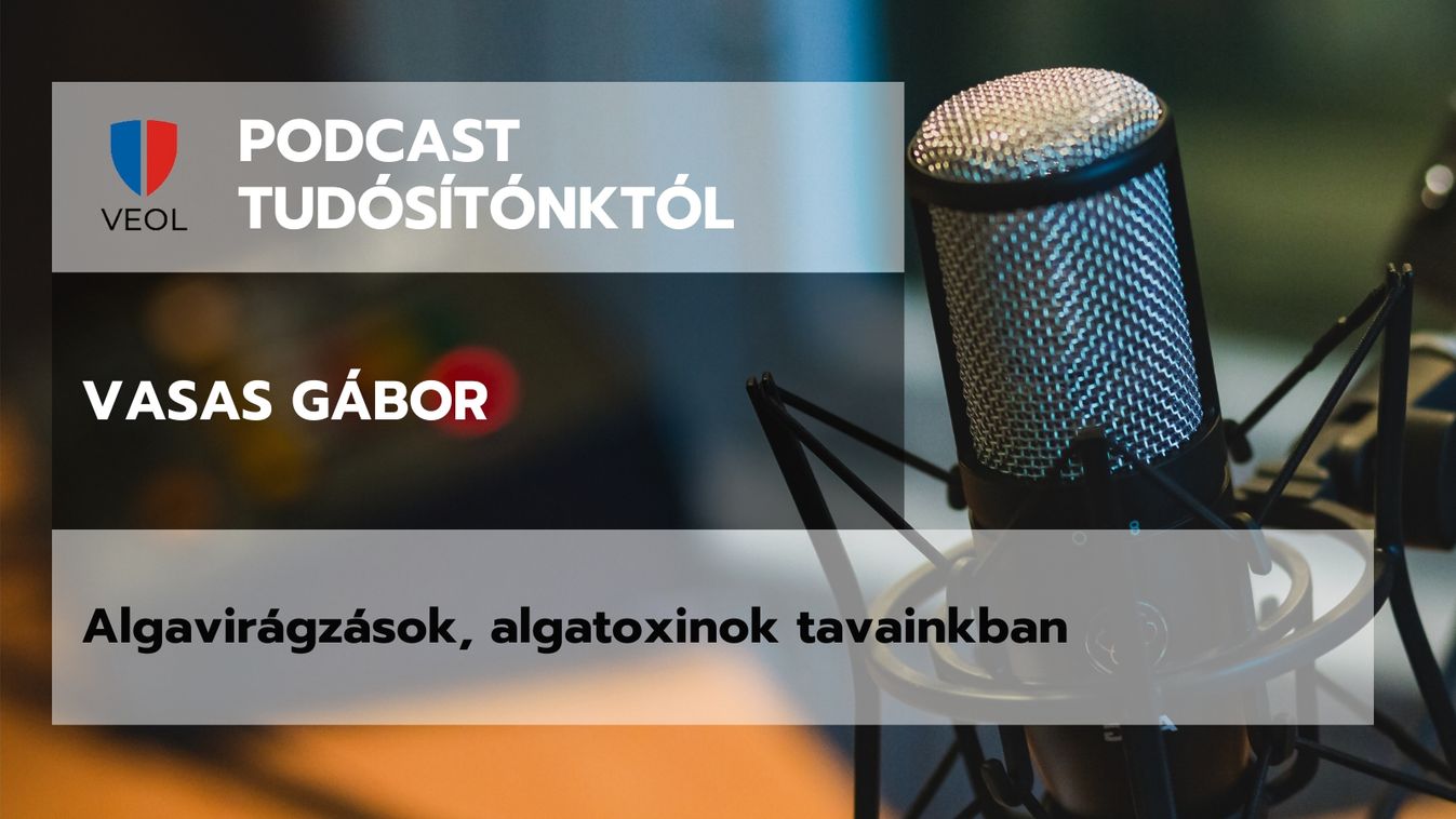 Algavirágzások, algatoxinok tavainkban