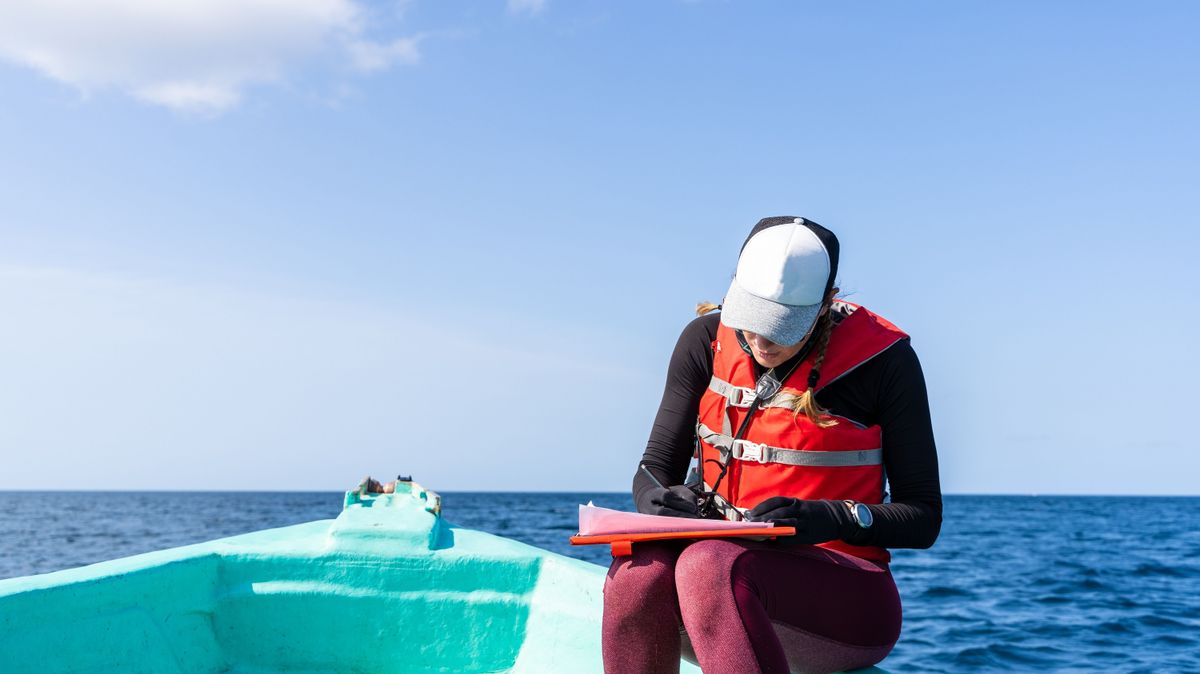 Nem tudják a tudósok, mi lehet a tengerfenéken talált lyukak eredete