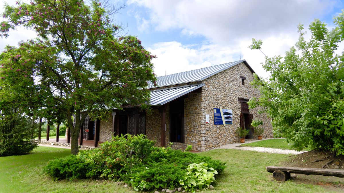 A Magyar Nemzeti Múzeum Közösségi Régészeti Programjának eredményei