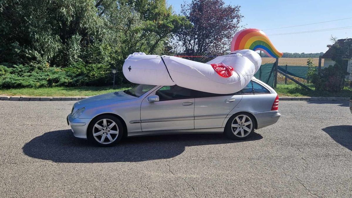 Nem mindennapi állat kötött ki a kocsi tetején (videó)