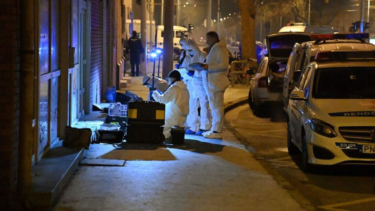 Megúszhatja az életfogytiglanit az újbudai rendőrgyilkos