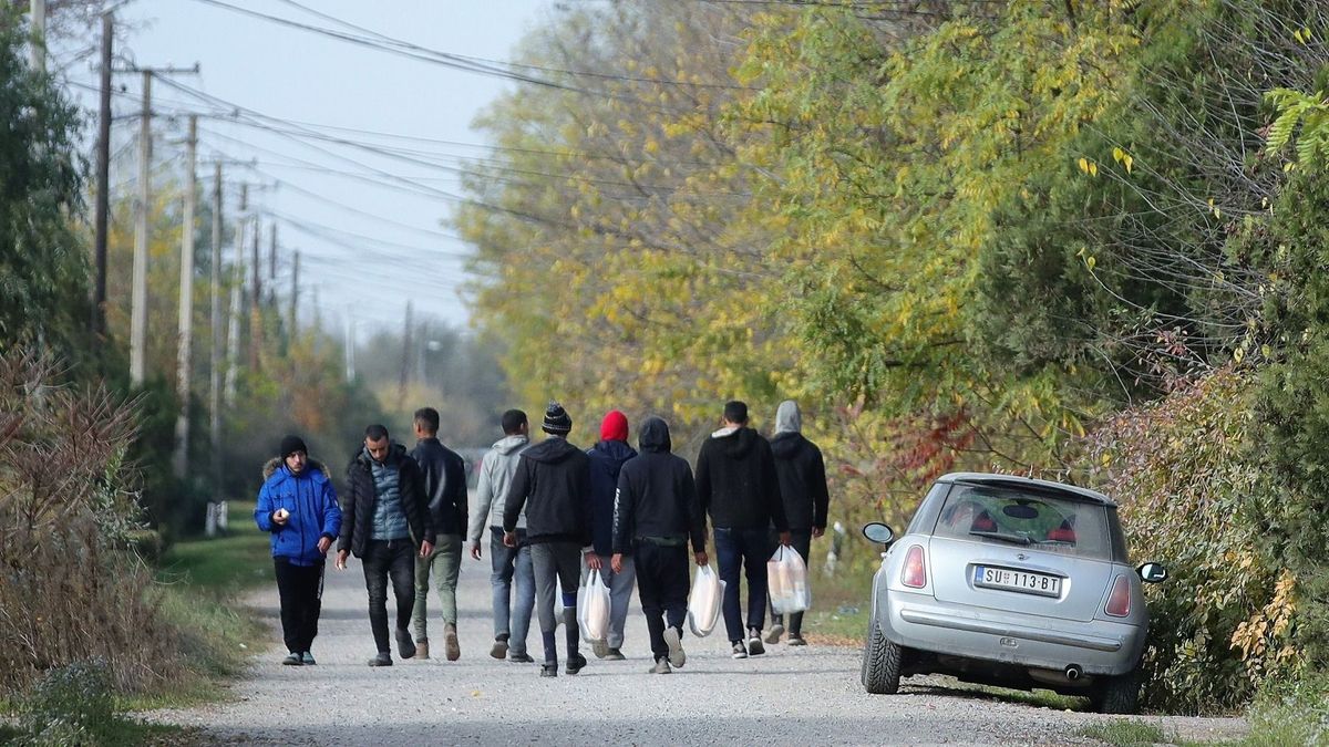 Terroristákat találtak az illegális migránsok között Szlovákiában