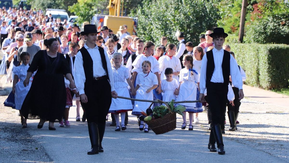 Szilvaünnep Aranyoroszlán Díjjal