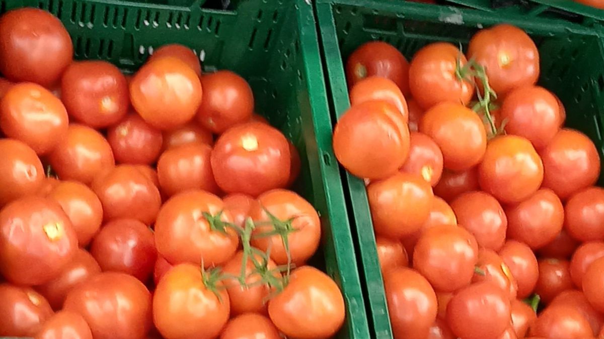 A századik termékkör vizsgálatát is lezárta a Nébih termékteszt programja