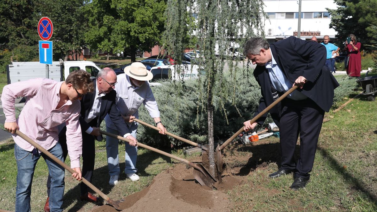 Fát ültettek Schweitzer József országos főrabbi emlékére