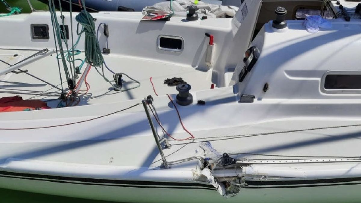 Inkább balesetet okozott, de akkor sem térti ki a másik hajó elől a balatoni vitorlásversenyen