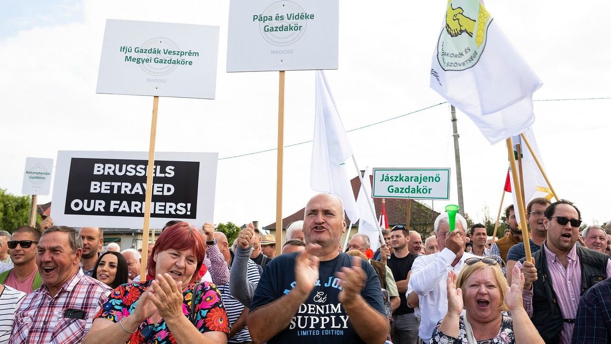 Gazdák demonstráltak az ukrán gabona behozatali tilalmát eltörlő brüsszeli döntés ellen Záhonynál