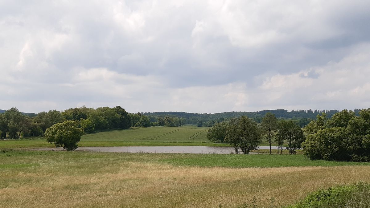 Mi köze egy díszoklevélnek a porvai árokpartokhoz?