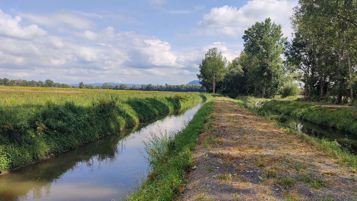Javítják a Balatonba befolyó vizek minőségét