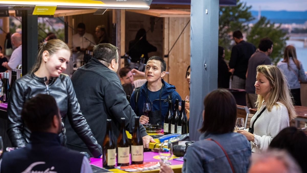 Rókusfalvy Pál szerint Magyarországon is jól érezhető a kulturált borfogyasztás terjedése