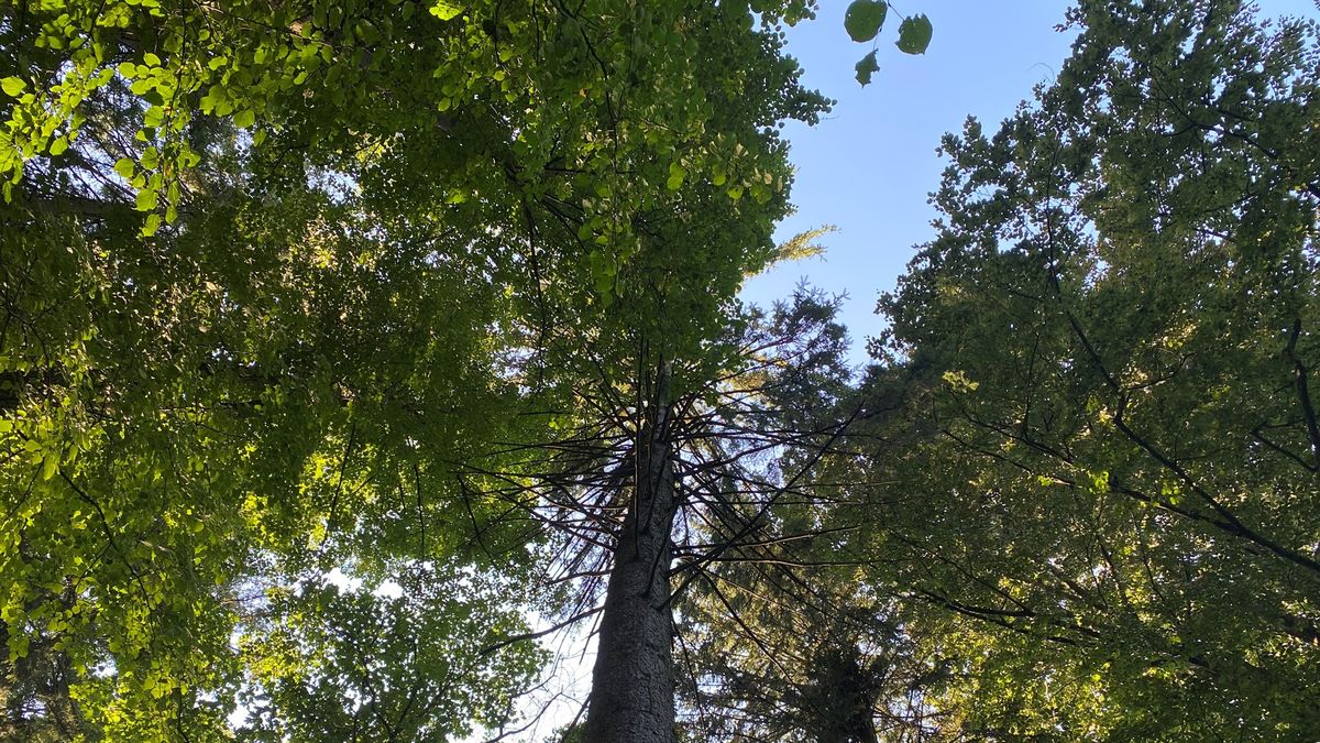 Az önmagunkkal való találkozás helye Bakonybélben