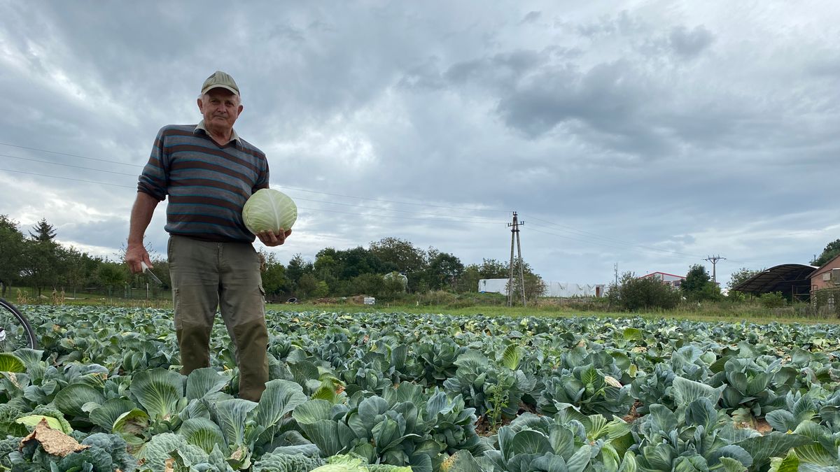 Ködben nő a savanyítanivaló a Bakonyban