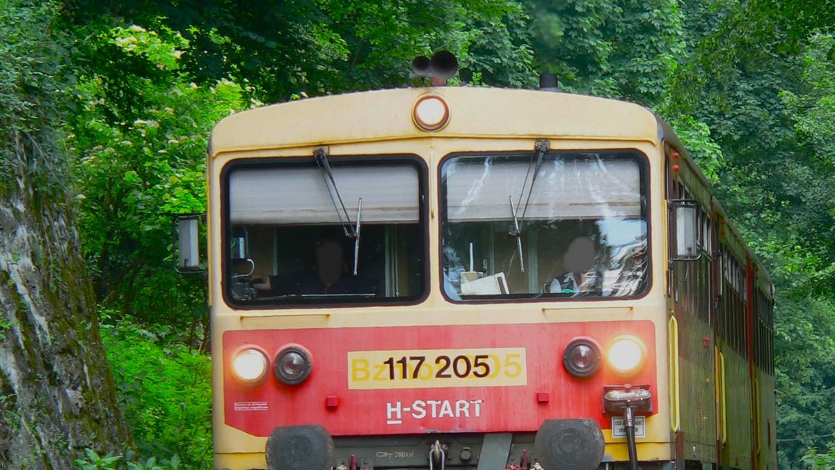 Vadat gázolt, csak Zircig jutott a reggeli győri vonat