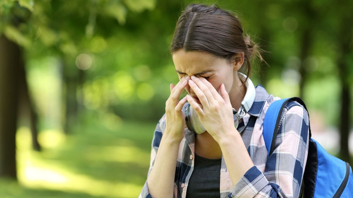 Figyelmeztetés az allergiásoknak: nagyon magas a parlagfű pollenszórása