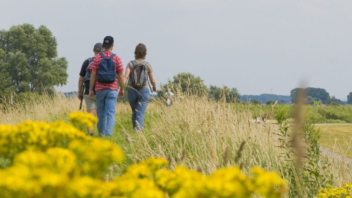 Elképesztő szám: századik alkalommal szervezik meg a túrát!