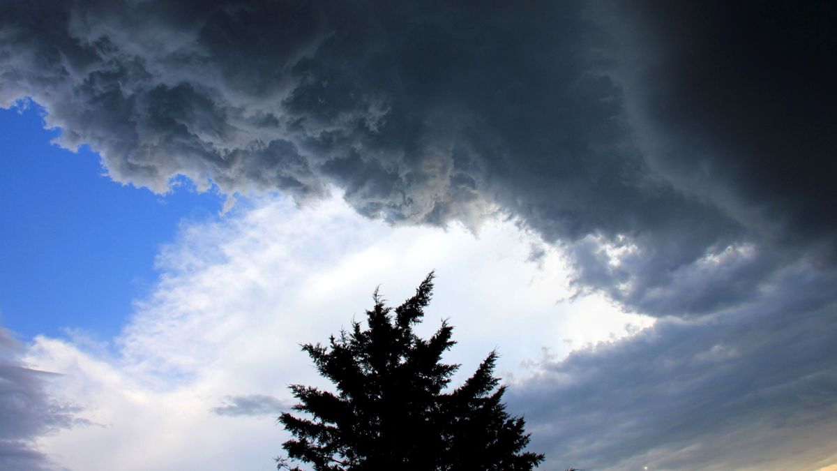Nem mindenható, de jelentősen mérsékli a károkat
