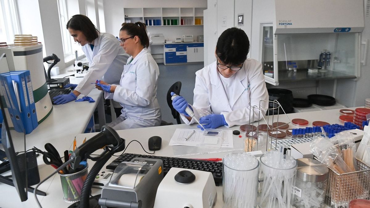 Innovatív laboratóriumi hálózatot hozott létre a TritonLife (videó)