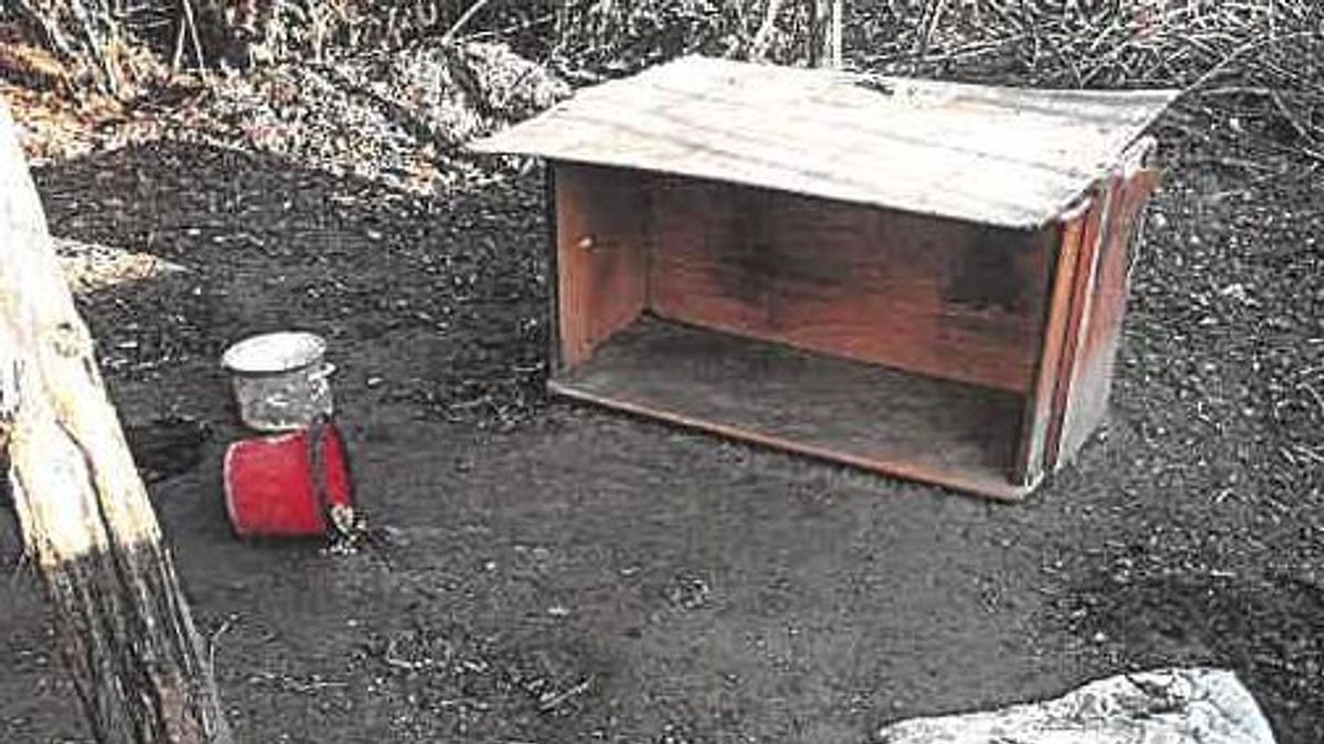 Elköltöztek a faluból, láncra verve magára hagyták kutyájukat