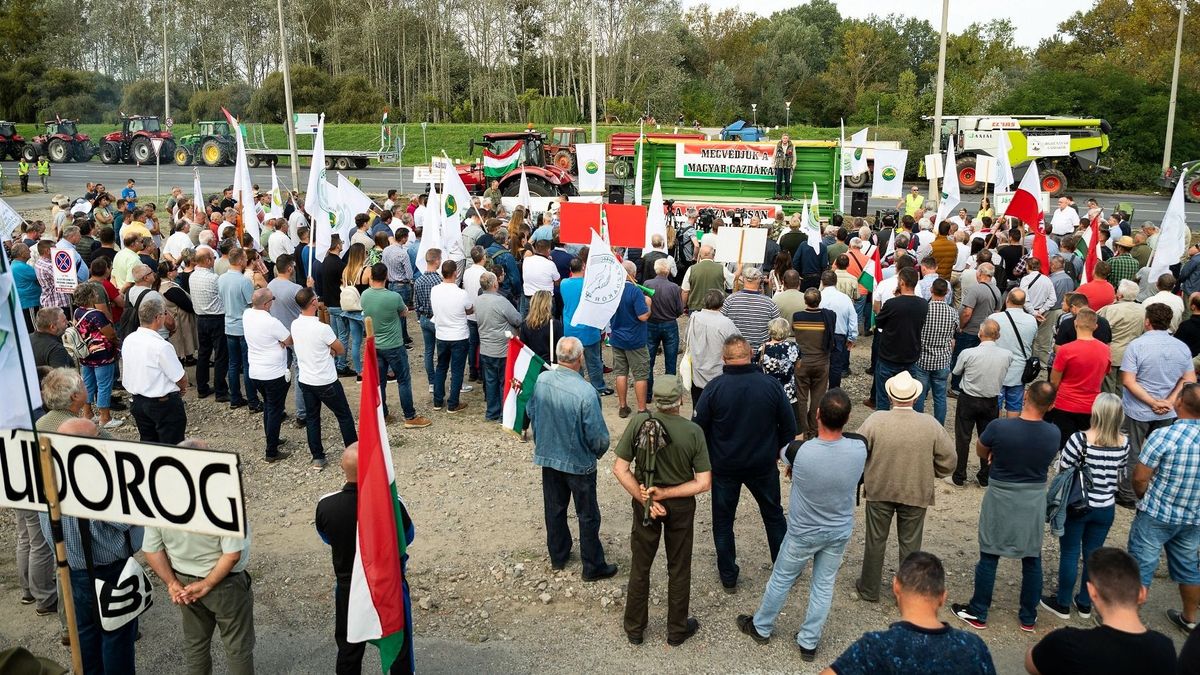 A magyarok jelentős többsége elutasítja az ukrán gabonadömpinget ösztönző brüsszeli nyomást