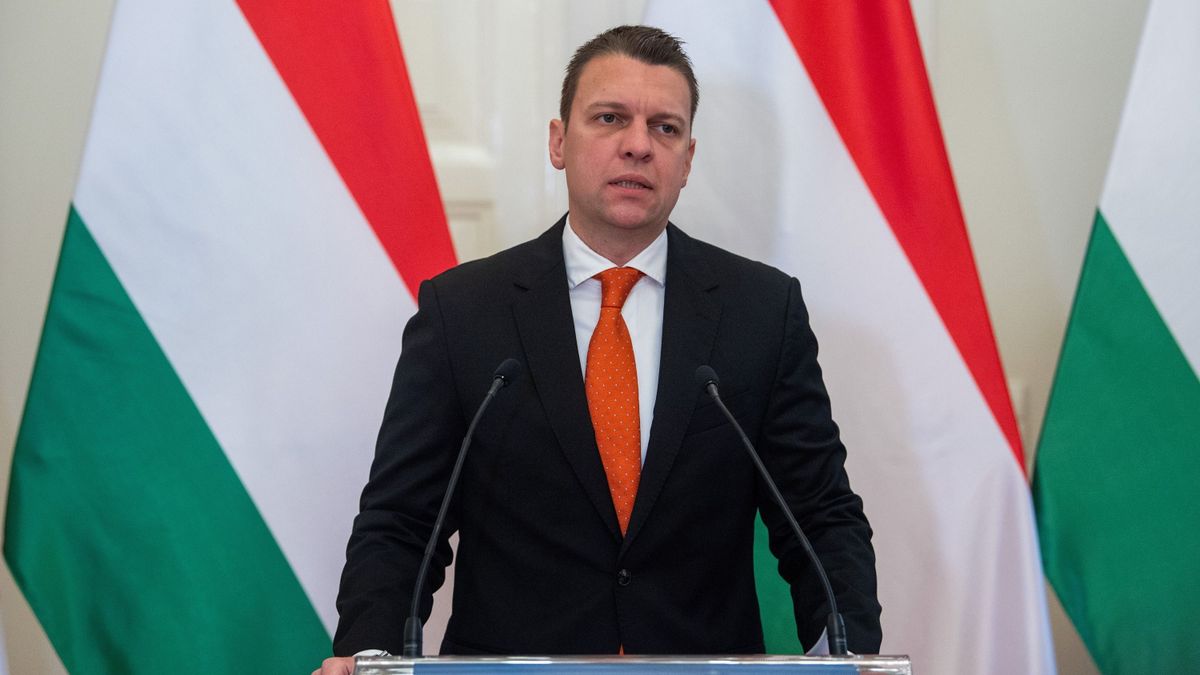 Menczer Tamás: aggódom a svéd demokráciáért (videó)