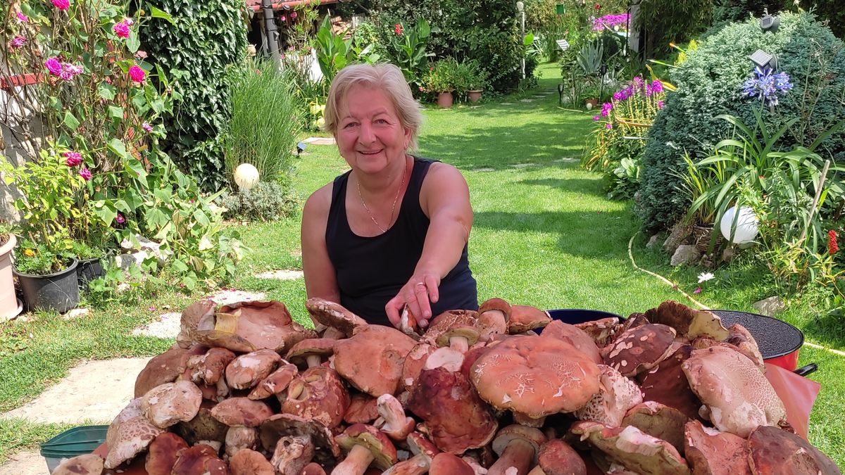 Se nem állat, se nem növény, sokszor nagyon finom